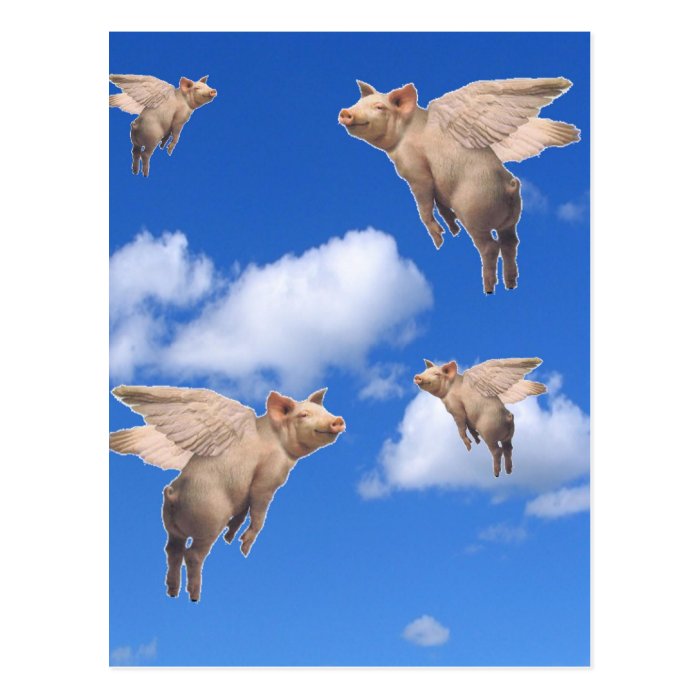 When Pigs Fly Post Cards