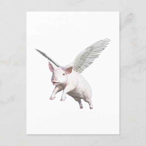 When Pigs Fly Postcard