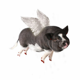 When Pigs Fly Statuette