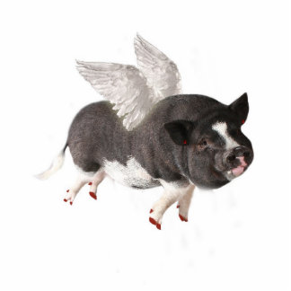 When Pigs Fly Statuette