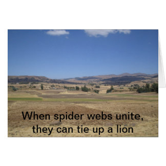 When spider webs unite, they can tie up a lion cards
