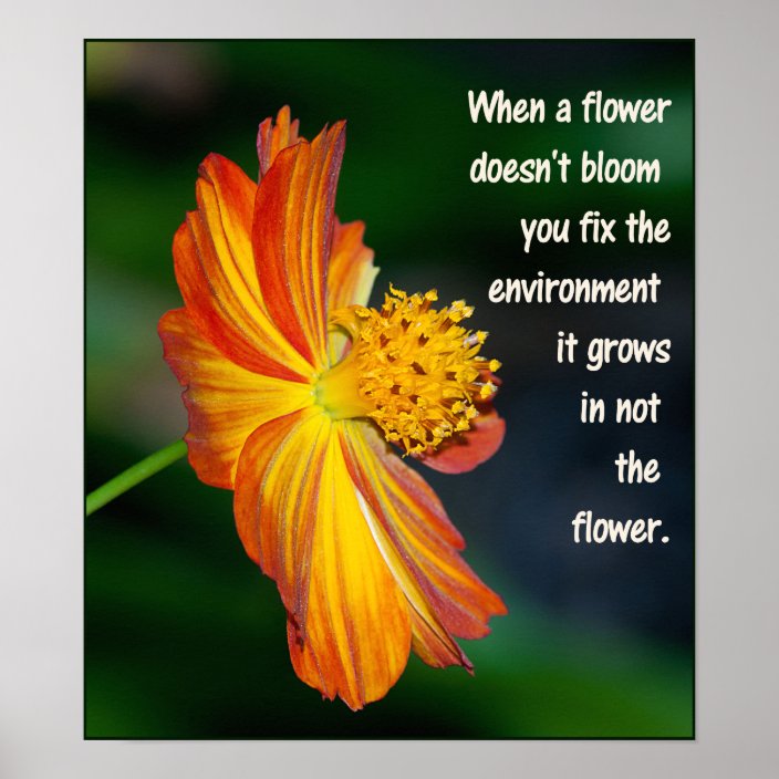 When the flower doesn’t bloom... poster