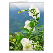 When the Fog Clears (Front)