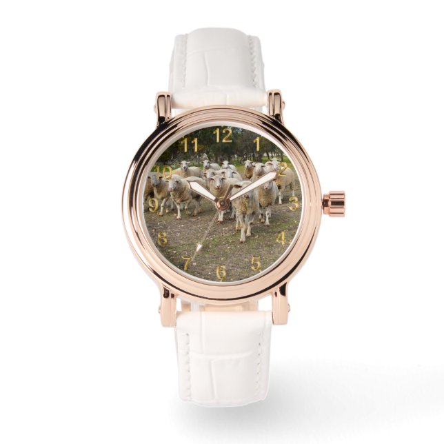 When The Sheep Come Marching Home, Watch (Front)