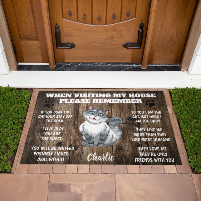 When Visiting My House Cat Doormat (Outdoor)