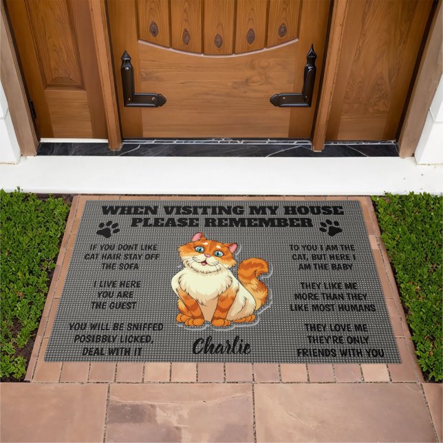 When Visiting My House Cat Doormat (Outdoor)