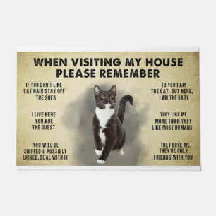 When Visiting My House Please Remember The Cat Lov Doormat