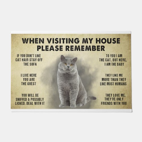 When Visiting My House Please Remember The Cat Lov Doormat