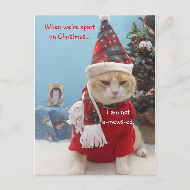 When we're apart on Christmas...,... Holiday Postcard (Front)