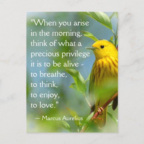 When You Arise Marcus Aurelius Inspiration Quote P Postcard