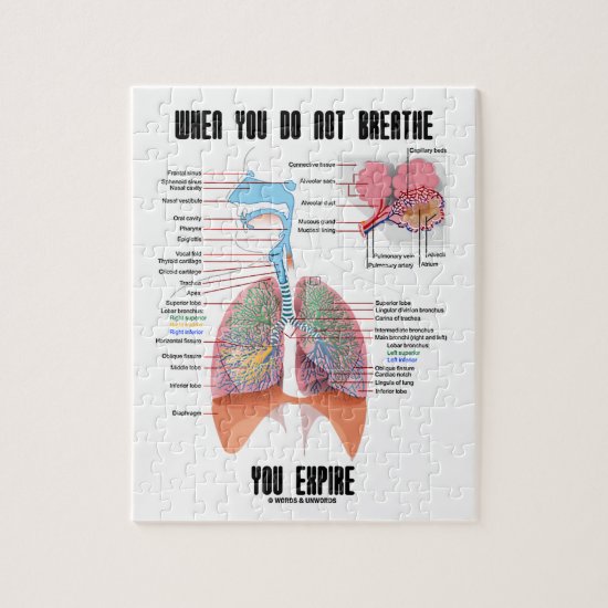 When You Do Not Breathe Expire Respiratory System Jigsaw Puzzle