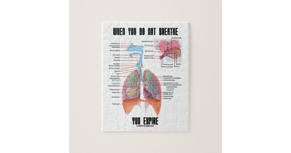 When You Do Not Breathe Expire Respiratory System Jigsaw Puzzle | Zazzle.com