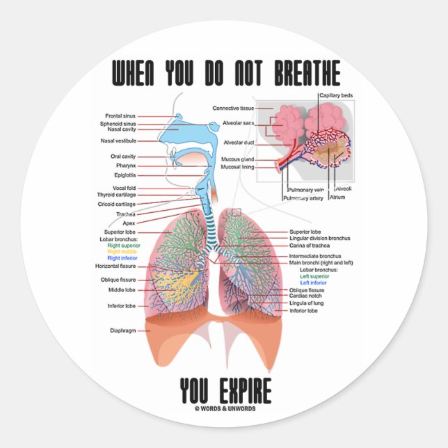 When You Do Not Breathe You Expire (Respiratory) Classic Round Sticker (Front)
