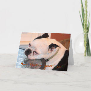 When You're Feeling Blue Boston Terrier Card