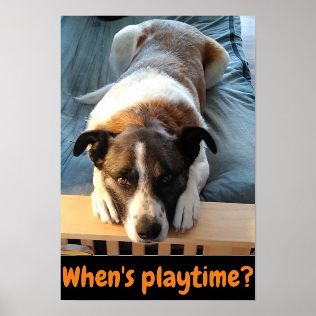 When's playtime? cute dog poster (Front)