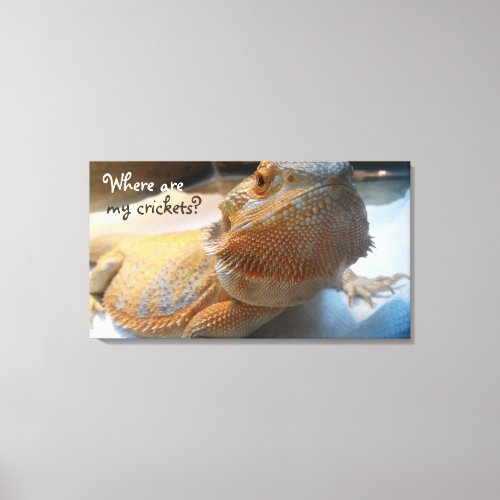 Where are my crickets Fun Orange Bearded Dragon Canvas Print