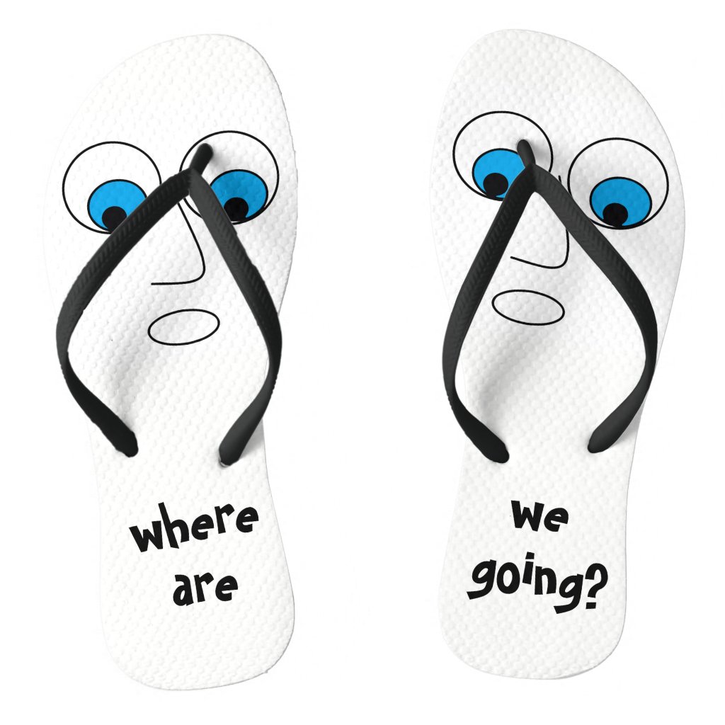 funny flip flops