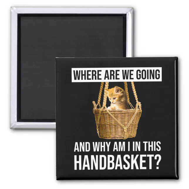 Where are we going, and what's with the handbasket? : Photo