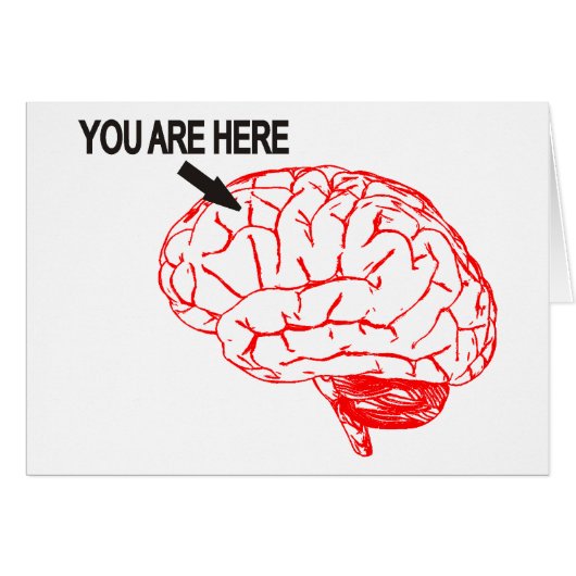 Where are you? cards (Front Horizontal)