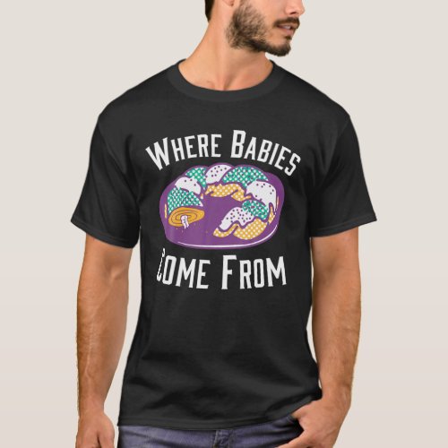Where Babies Come Froms Mardi Gras King Cakes T_Shirt