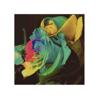 Where Color Breaks The Silence Wood Wall Art