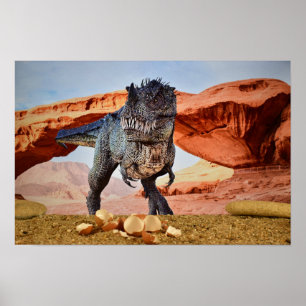 Where did they go? poster