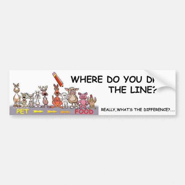 WHERE DO YOU DRAW THE LINE? BUMPER STICKER (Front)