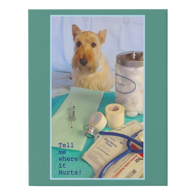 Where does it hurt faux canvas print (Front)