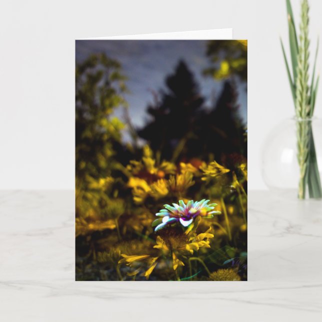 where dreams may come card (Front)