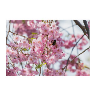 Where flowers bloom, life thrives Acrylic Wall Art