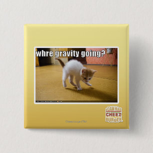 Where gravity going? button