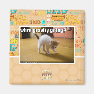 Where gravity going? magnet