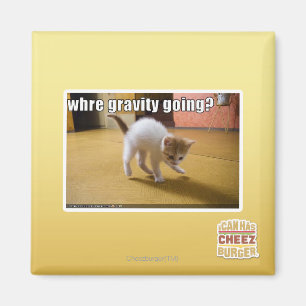 Where gravity going? magnet