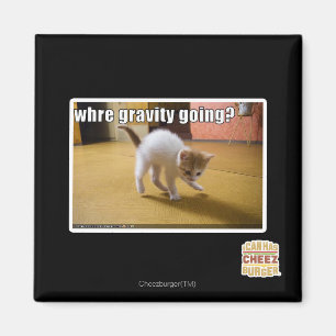 Where gravity going? magnet