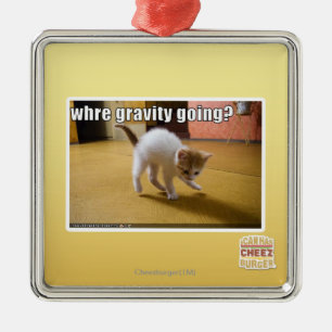 Where gravity going? metal ornament