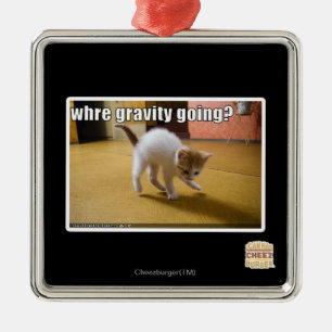 Where gravity going? metal ornament