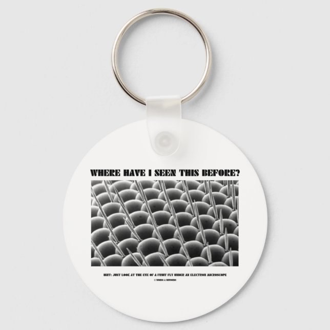 Where Have I Seen This Before? Eye Of Fruit Fly Keychain (Front)