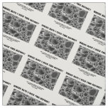 Where Have I Seen This Before? Vascular Bundle Fabric