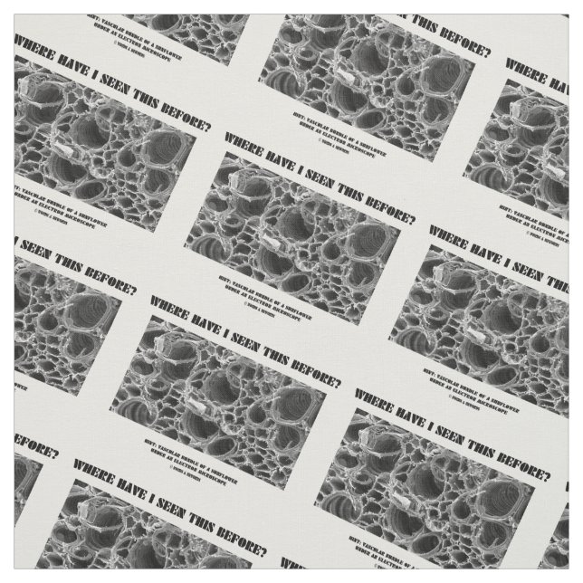 Where Have I Seen This Before? Vascular Bundle Fabric (Swatch)