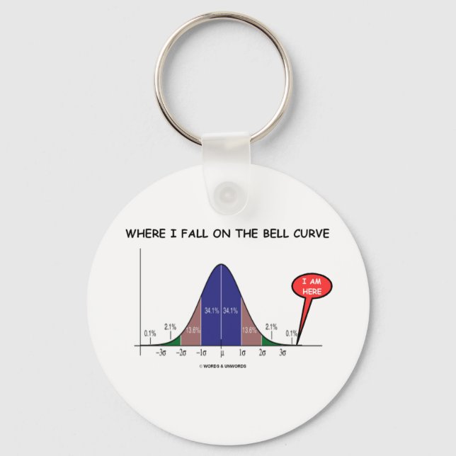 Where I Fall On The Bell Curve I Am Here Keychain (Front)