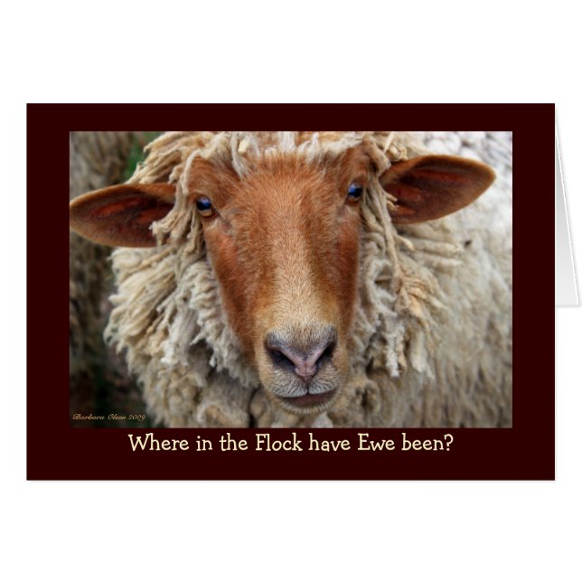 Where in the Flock have Ewe been? Cards (Front Horizontal)