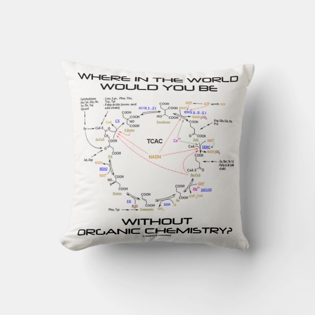 Where In The World Would You Be Organic Chemistry? Throw Pillow (Front)