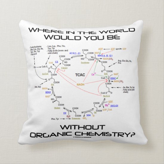 Where In The World Would You Be Organic Chemistry? Throw Pillow