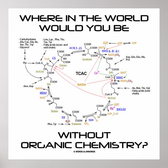 Where In The World You Without Organic Chemistry? Poster