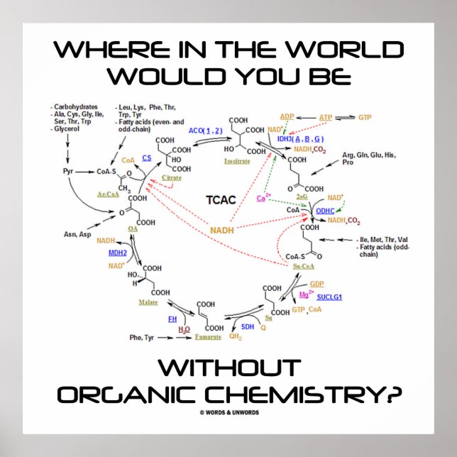 Where In The World You Without Organic Chemistry? Poster (Front)