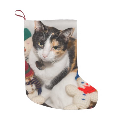 Where Is The Cat Christmas Stocking