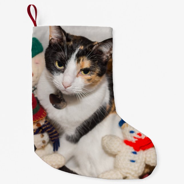 Where Is The Cat Christmas Stocking (Front)
