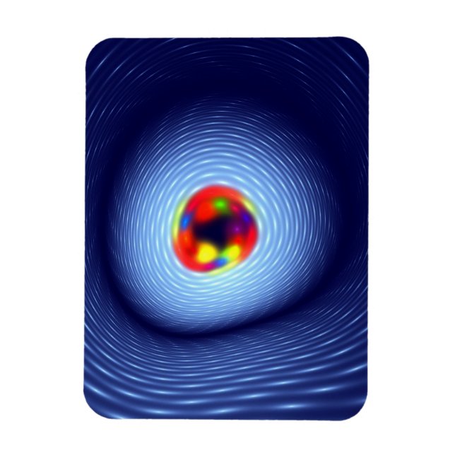 Where Jelly Beans Are Born Magnet (Vertical)