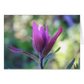 Where Love Waits (Front Horizontal)