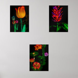 Where nature meets art and light Print Set